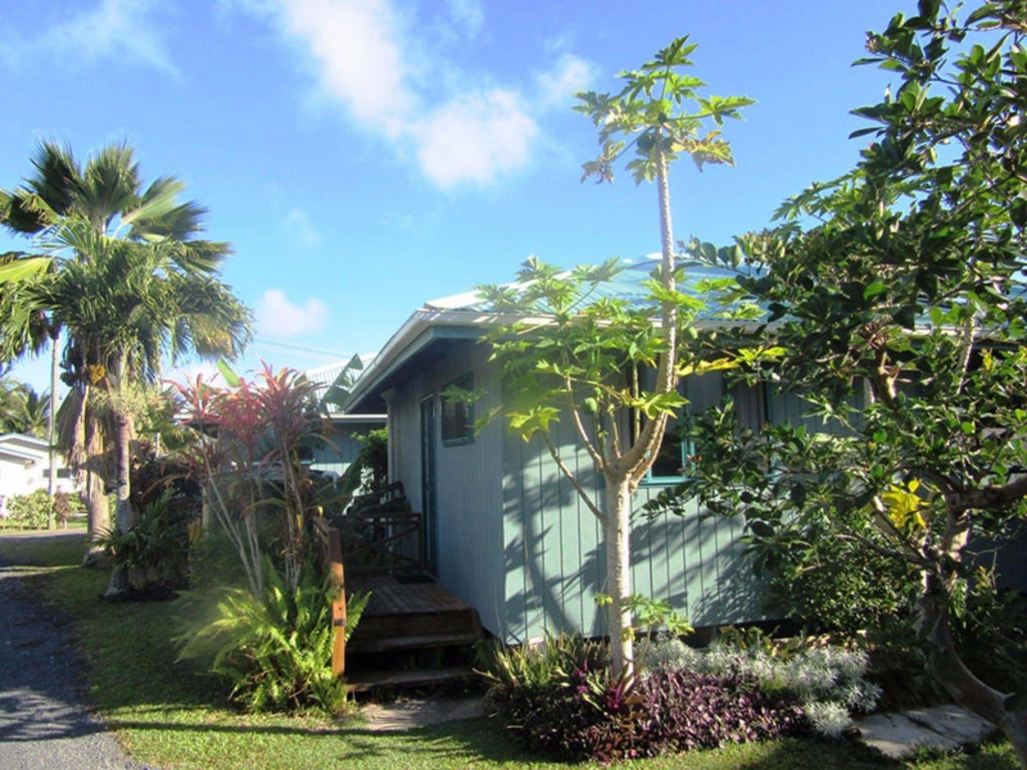 Aroa Kainga Bungalows And Apartment Rarotonga Exterior photo